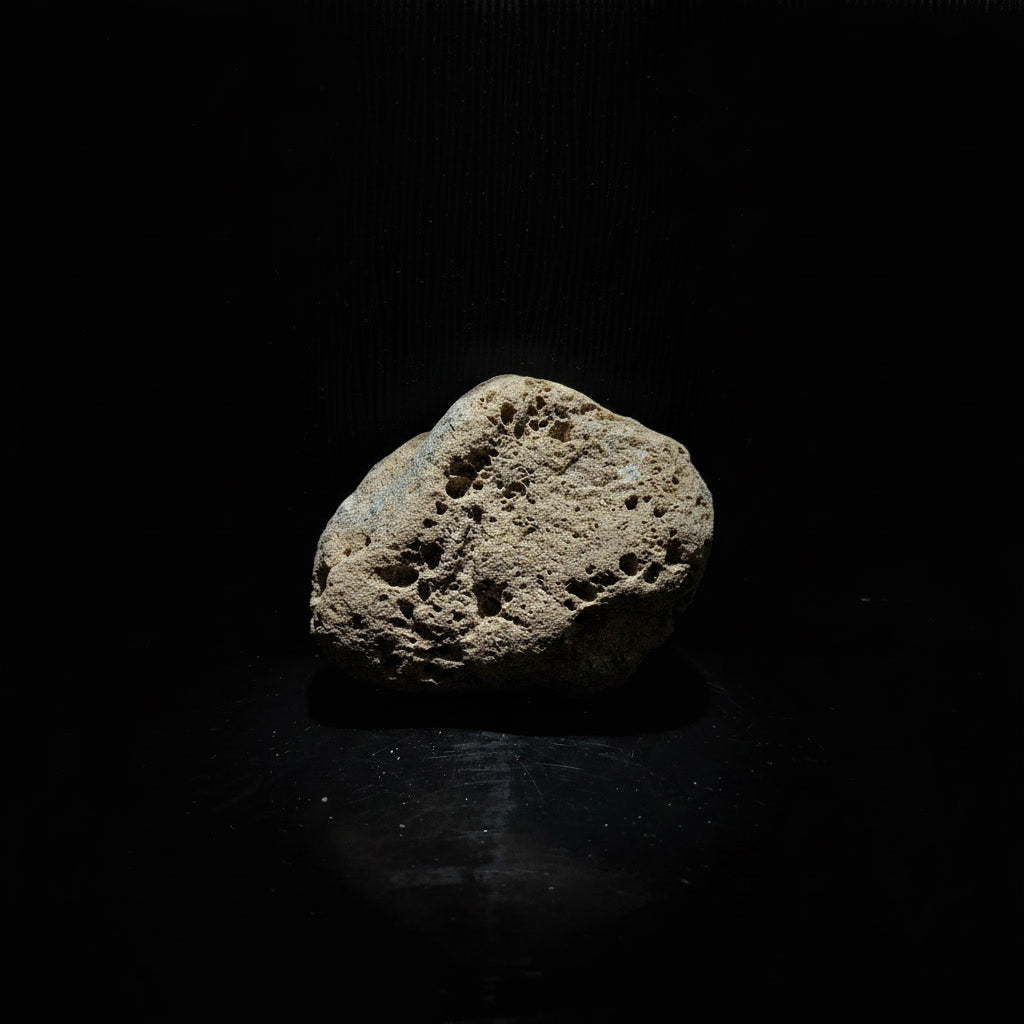 Veth RV-009
