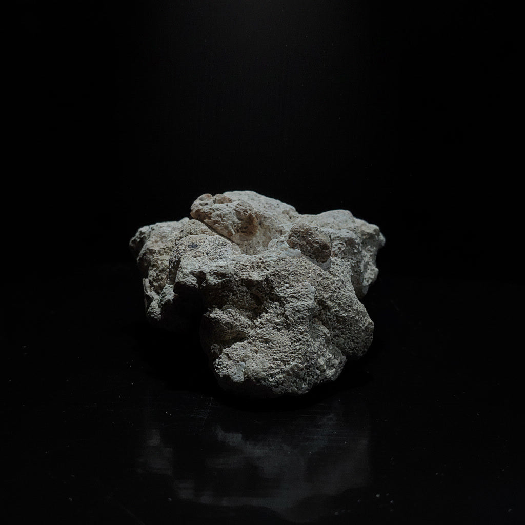 Parrilist RV-004