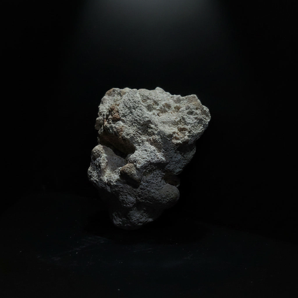 Parrilist RV-004