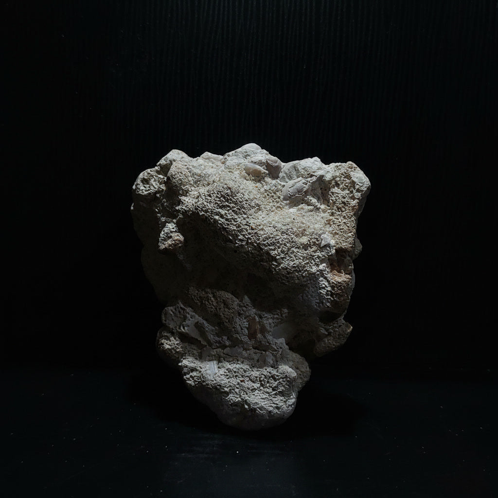 Parrilist RV-004