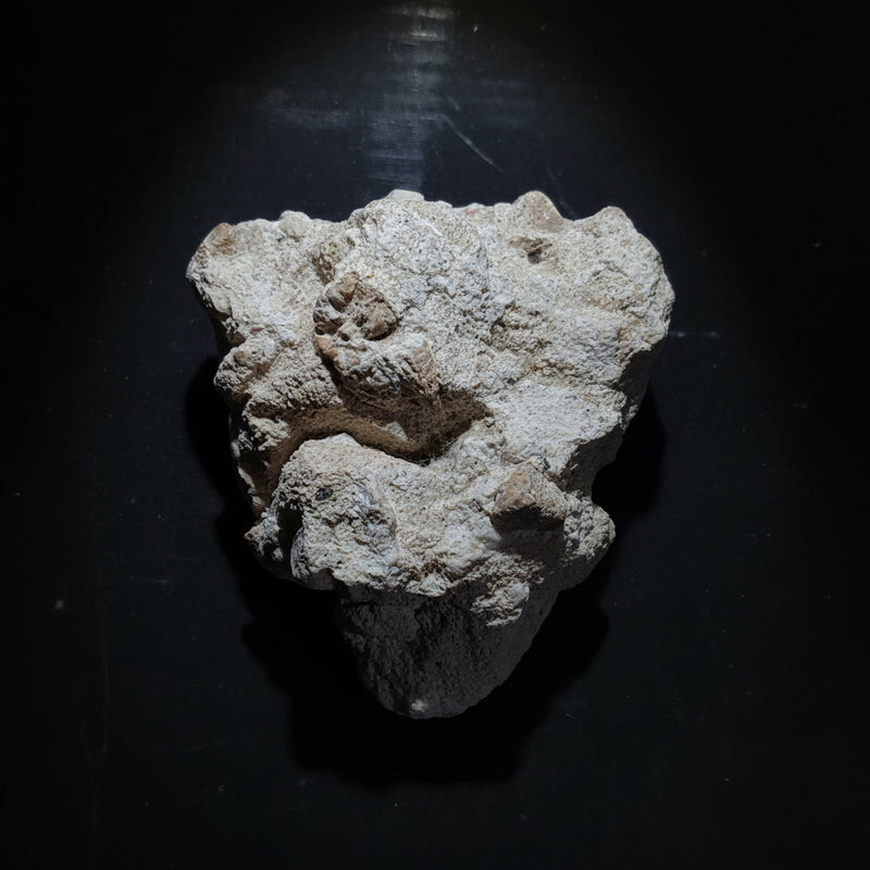 Parrilist RV-004