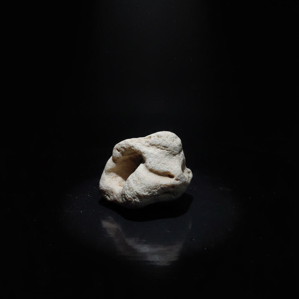 Eryxil RV-006