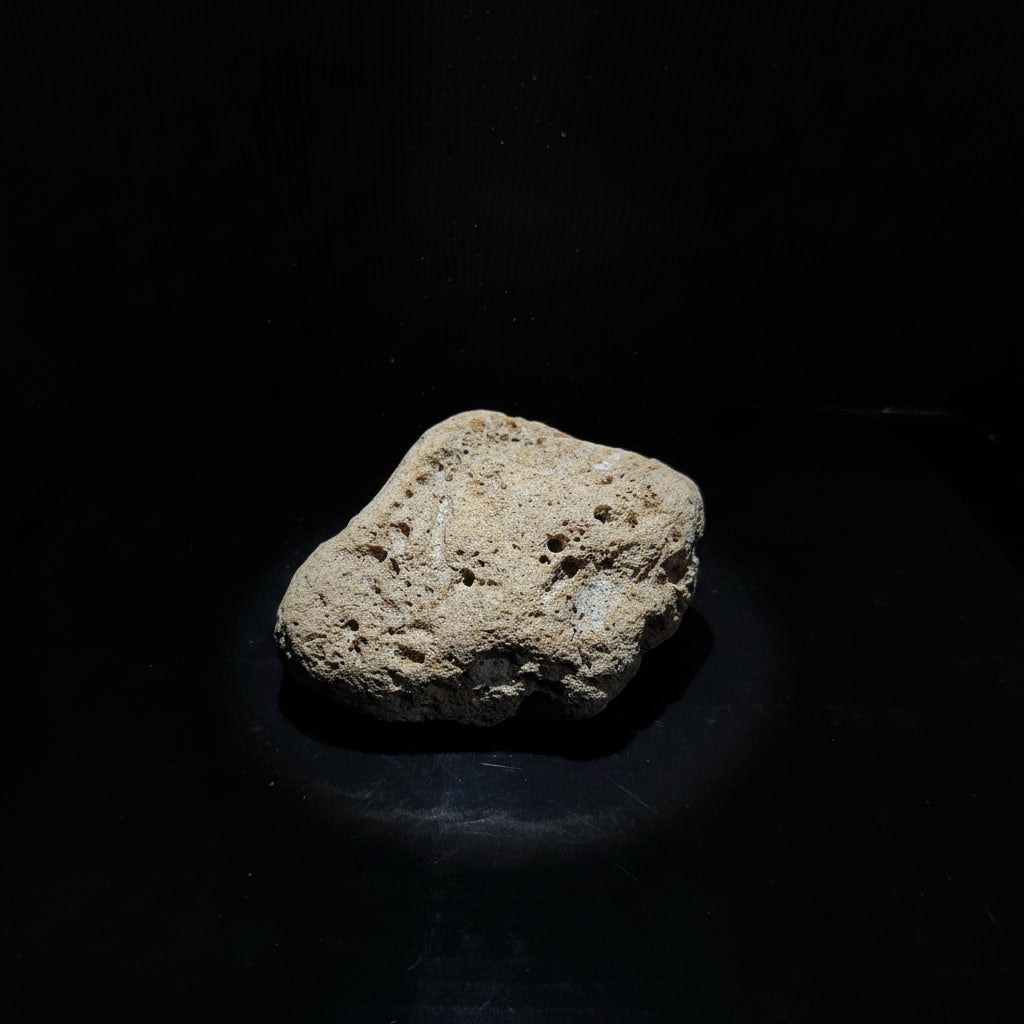Veth RV-009
